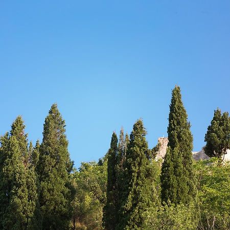 Vasiliki Apartment Virpazar Exterior photo